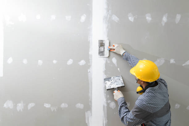 Best Drywall Texturing  in Ishpeng, MI